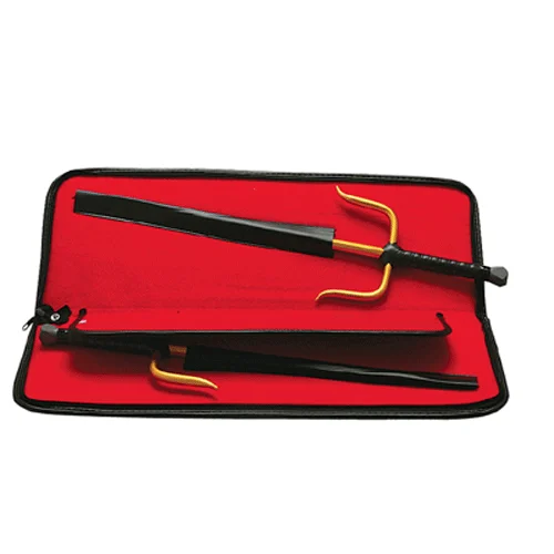 Sai Case